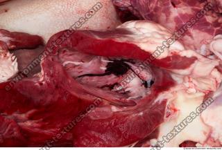 Photo Textures of RAW Pork Meat